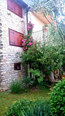 Vrt u objektu Mandić Rooms