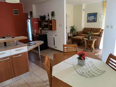 Kuhinja ili čajna kuhinja u objektu Vila Jadranka