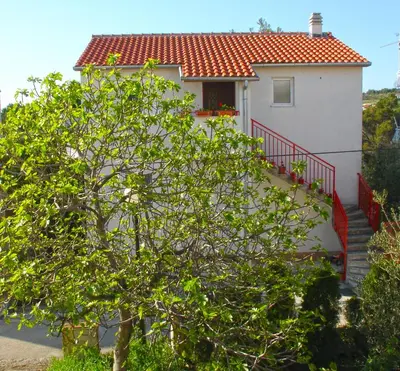 Vrt u objektu Apartment Branko Brodarica
