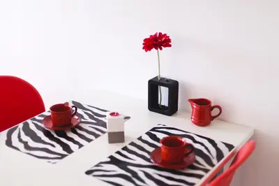 Sadržaji za pripremu kave/čaja u objektu Apartments Stojanovic