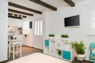 Kuhinja ili čajna kuhinja u objektu Apartments Kantunal