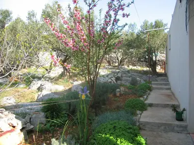 Vrt u objektu Holiday Home Zeljana