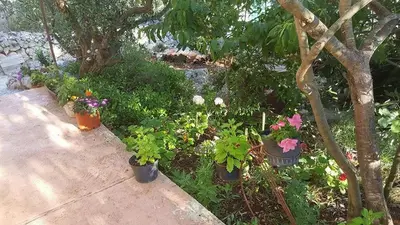 Vrt u objektu Holiday Home Zeljana