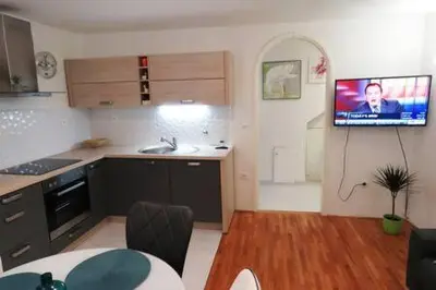 Kuhinja ili čajna kuhinja u objektu Apartman Luna