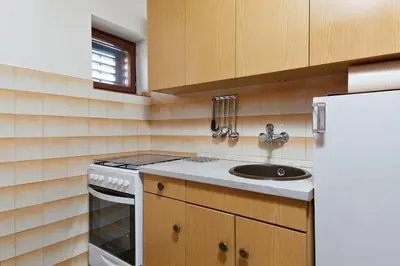 Kuhinja ili čajna kuhinja u objektu Apartments with parking spaces Drnis, Zagora - 12769