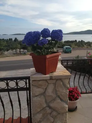 Priroda u blizini apartmana