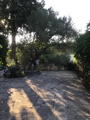 Priroda u blizini apartmana