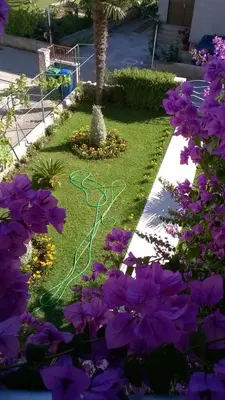Vrt u objektu House Marijana Sibenik