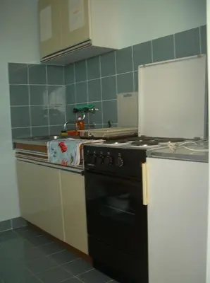 Kuhinja ili čajna kuhinja u objektu Apartments with parking space Brodarica, Sibenik - 12405