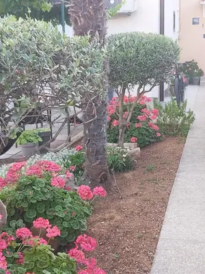 Vrt u objektu Apartments Oliva