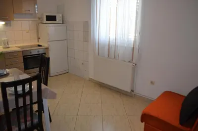 Kuhinja ili čajna kuhinja u objektu Apartman Darica Vid