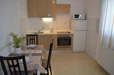 Kuhinja ili čajna kuhinja u objektu Apartman Darica Vid