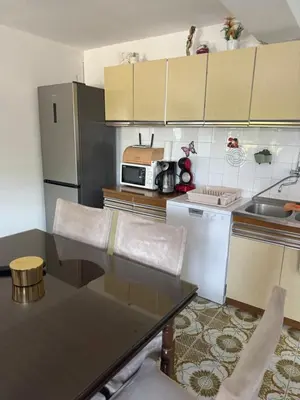Kuhinja ili čajna kuhinja u objektu Apartmani Tina