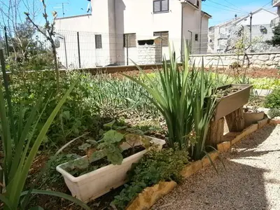 Vrt u objektu Apartman Šibenik