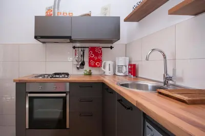 Kuhinja ili čajna kuhinja u objektu Apartments Alisa