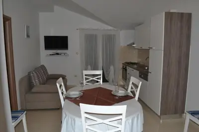 Kuhinja ili čajna kuhinja u objektu Apartments with parking space Grebastica, Sibenik - 13365