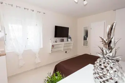 TV i/ili zabavni centar u objektu Studio Apartment Dada