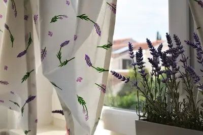 Vrt u objektu Apartmani Julija