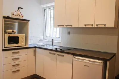Kuhinja ili čajna kuhinja u objektu Antini Trudi