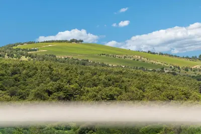 Priroda u blizini vila