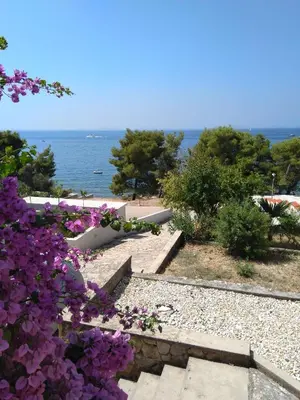 Priroda u blizini apartmana