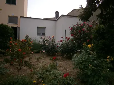 Vrt u objektu Rooms with a parking space Sibenik - 13739