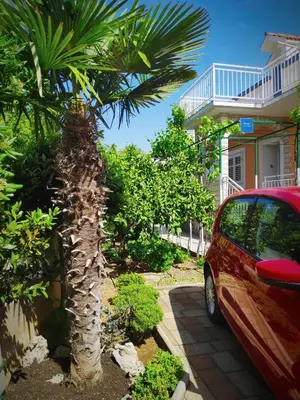 Vrt u objektu Apartman Antulov Srima