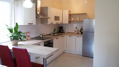 Kuhinja ili čajna kuhinja u objektu Apartman Viktorija