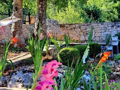 Vrt u objektu Relaxing Dalmatian house in village