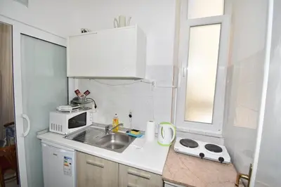Kuhinja ili čajna kuhinja u objektu Apartmani Rina