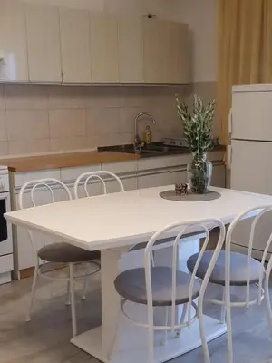Kuhinja ili čajna kuhinja u objektu Guesthouse Mila