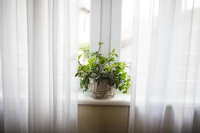 Tlocrt objekta Apartment Ema