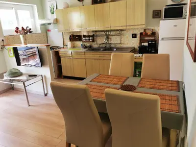 Kuhinja ili čajna kuhinja u objektu Apartments Borgina