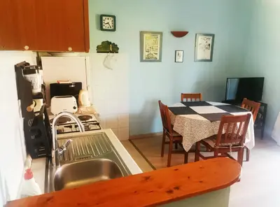 Kuhinja ili čajna kuhinja u objektu Apartments Borgina