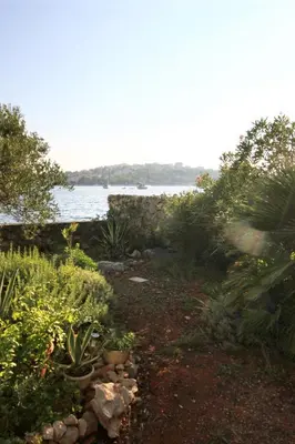 Priroda u blizini apartmana