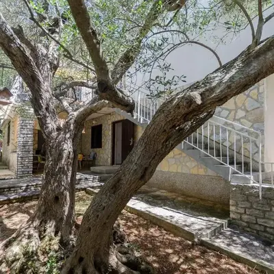 Apartment Maslina
