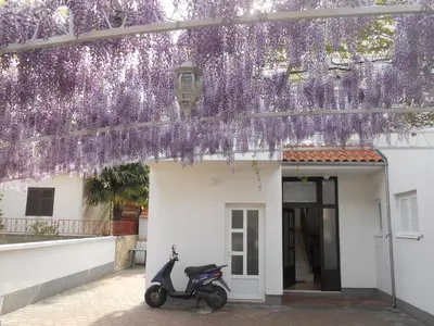 Tlocrt objekta Apartments Gaj