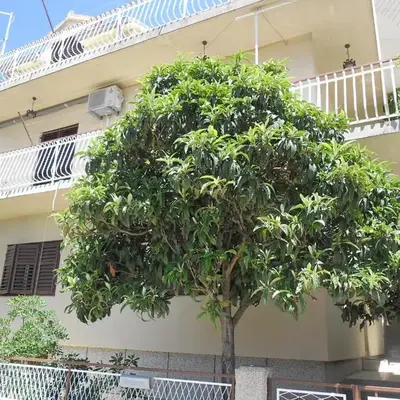 Apartments with WiFi Sibenik - 13818