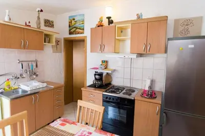Kuhinja ili čajna kuhinja u objektu Apartments Izvorka