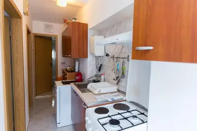Kuhinja ili čajna kuhinja u objektu Apartments Izvorka