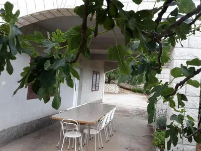 Vrt u objektu Apartments with parking space Grebastica, Sibenik - 13860