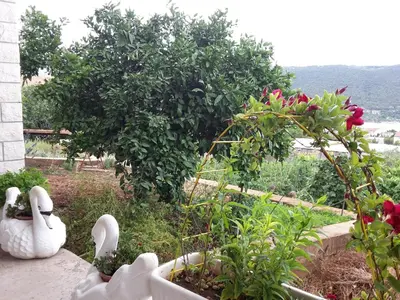 Priroda u blizini apartmana