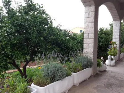Vrt u objektu Apartments with parking space Grebastica, Sibenik - 13860
