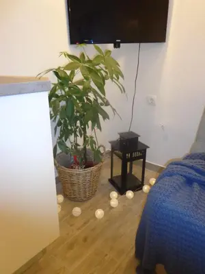 TV i/ili zabavni centar u objektu Apartment Ban