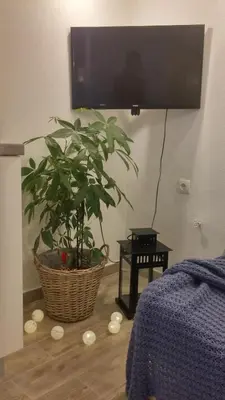 TV i/ili zabavni centar u objektu Apartment Ban