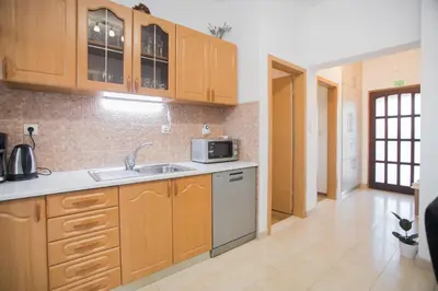 Kuhinja ili čajna kuhinja u objektu Holiday home with pool Kristal