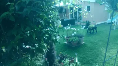 Vrt u objektu Villa Dolce Vita