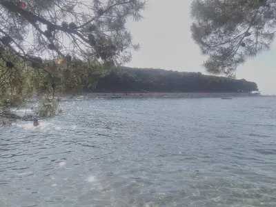 Priroda u blizini apartmana