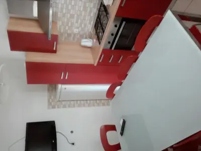Kuhinja ili čajna kuhinja u objektu Apartman Adrian I David