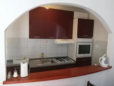 Kuhinja ili čajna kuhinja u objektu Apartmani Slavica